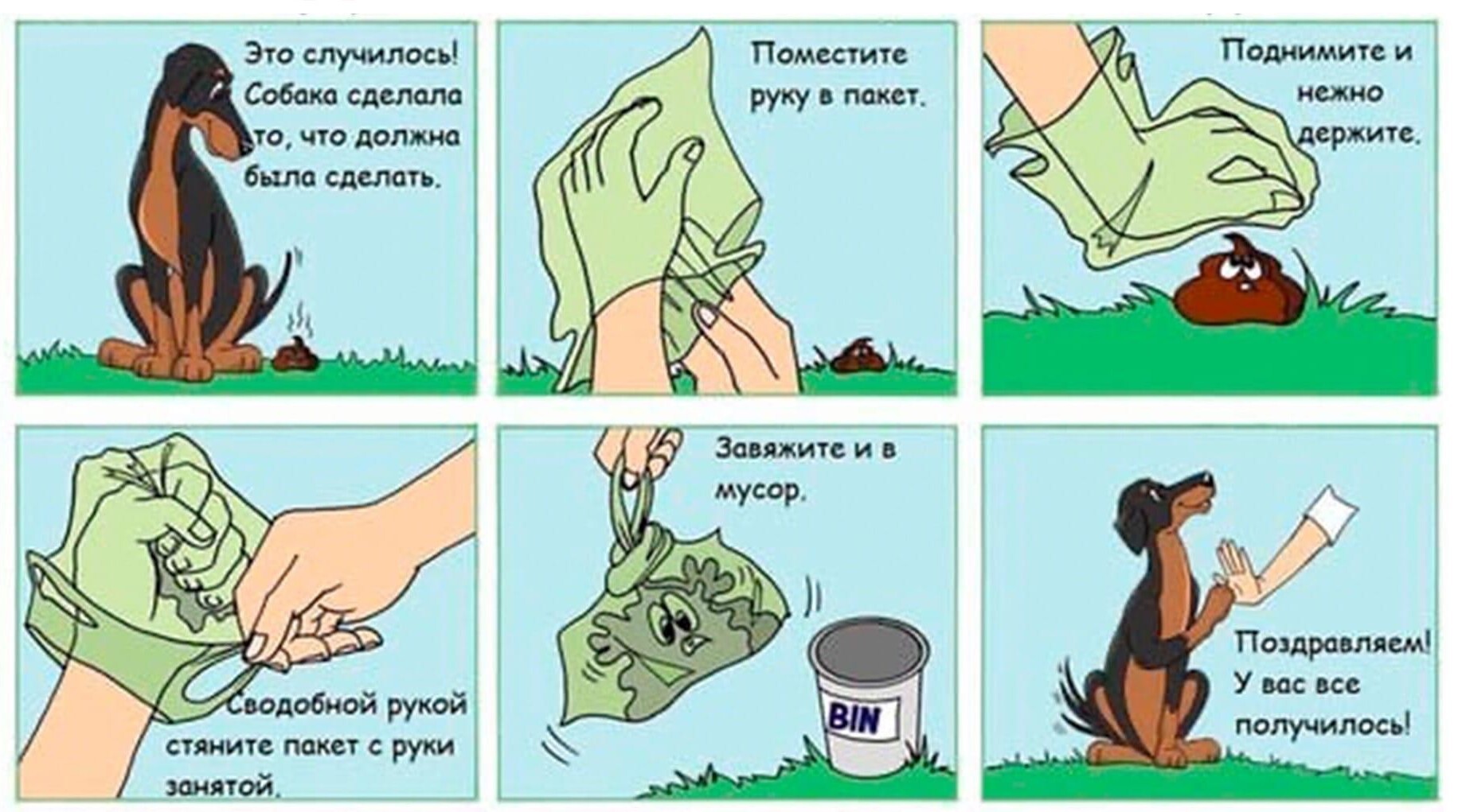 Как отучить собаку гадить дома