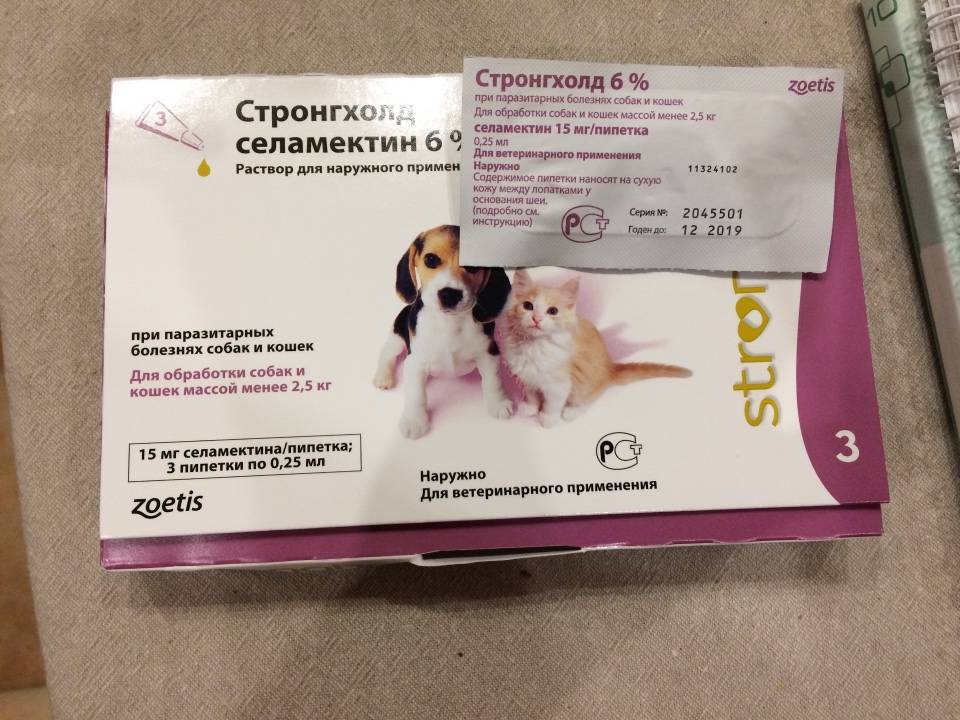 Стронгхолд для собак