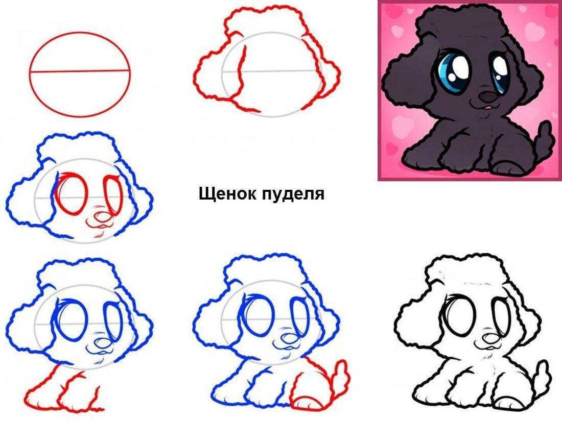 Как нарисовать собаку 2д