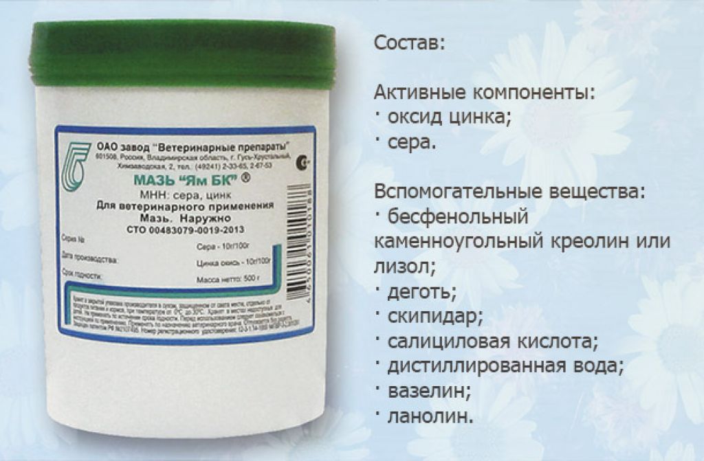 Эффективная мазь ям бк: лучшая защита для вашей кошки от лишая