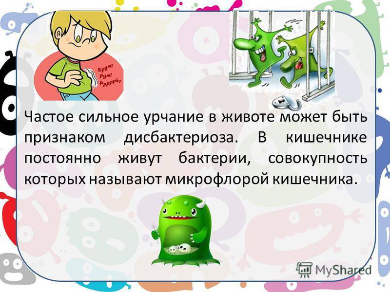 У собаки урчит в животе: что делать и как помочь