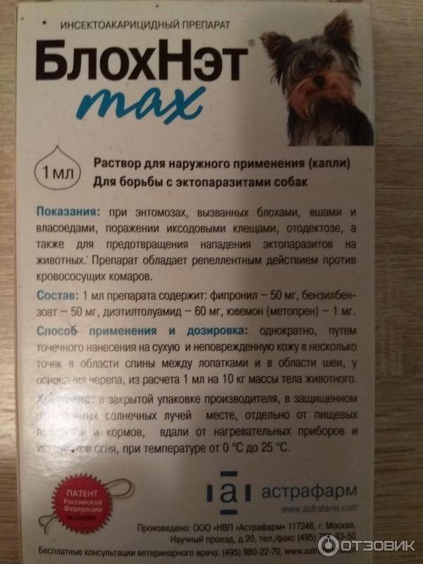 Блохнэт для собак: инструкция по применению и отзывы собаководов о каплях