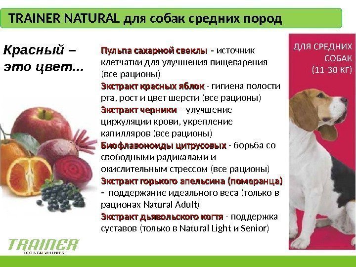 Лечение ожирения