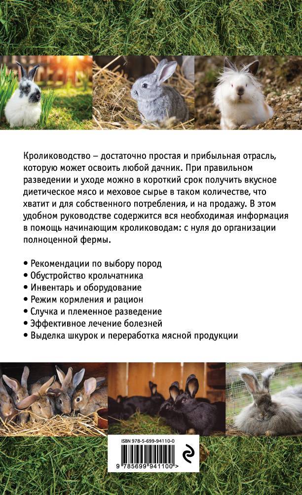 Разведение кроликов: практическое руководство | домашние животные
