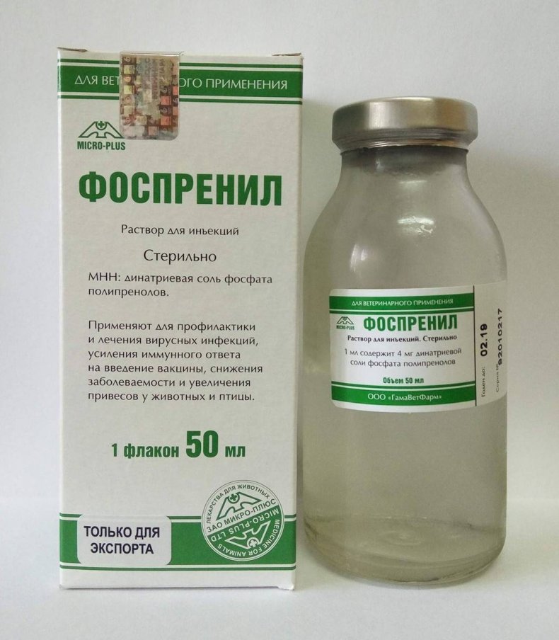 Раствор для инъекций «фоспренил»: куда и как колоть собаке