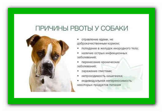 Эпилепсия