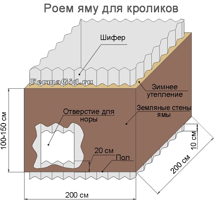 Разведение кроликов в яме - подробный разбор технологии ямного содержания своими руками