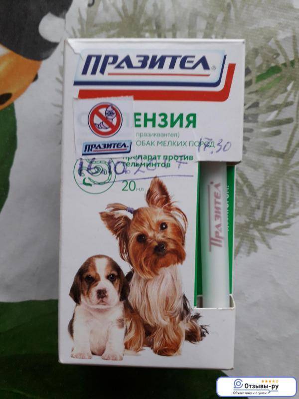 Празител для собак: состав лекарства и формы выпуска- инструкция по применению и дозировка