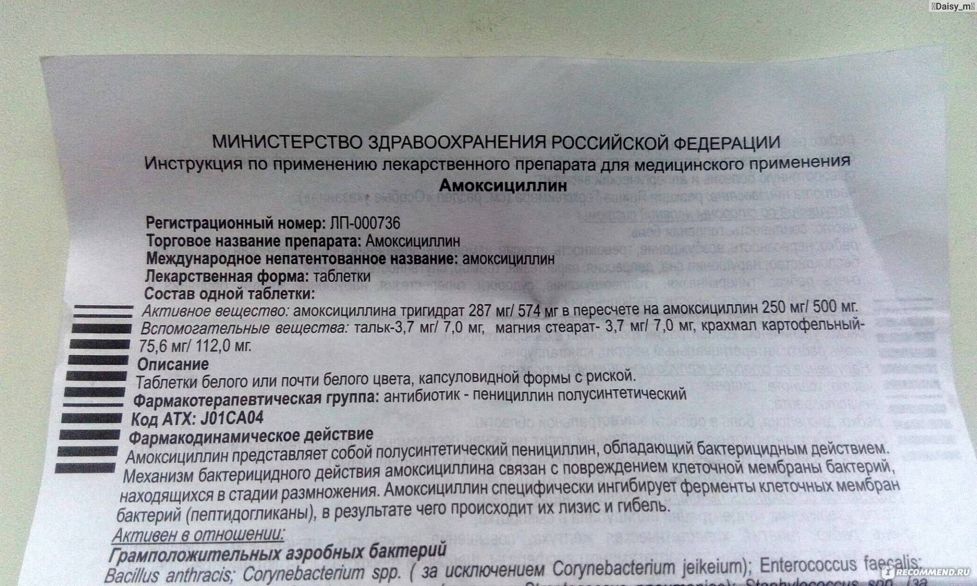 Амоксициллин для кошек | инструкция по применению амоксициллина у кошек