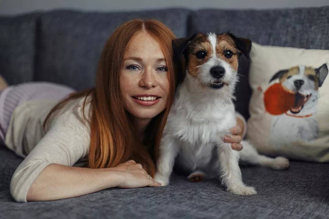 ᐉ животные, привлекающие финансы в дом - zoovet24.ru