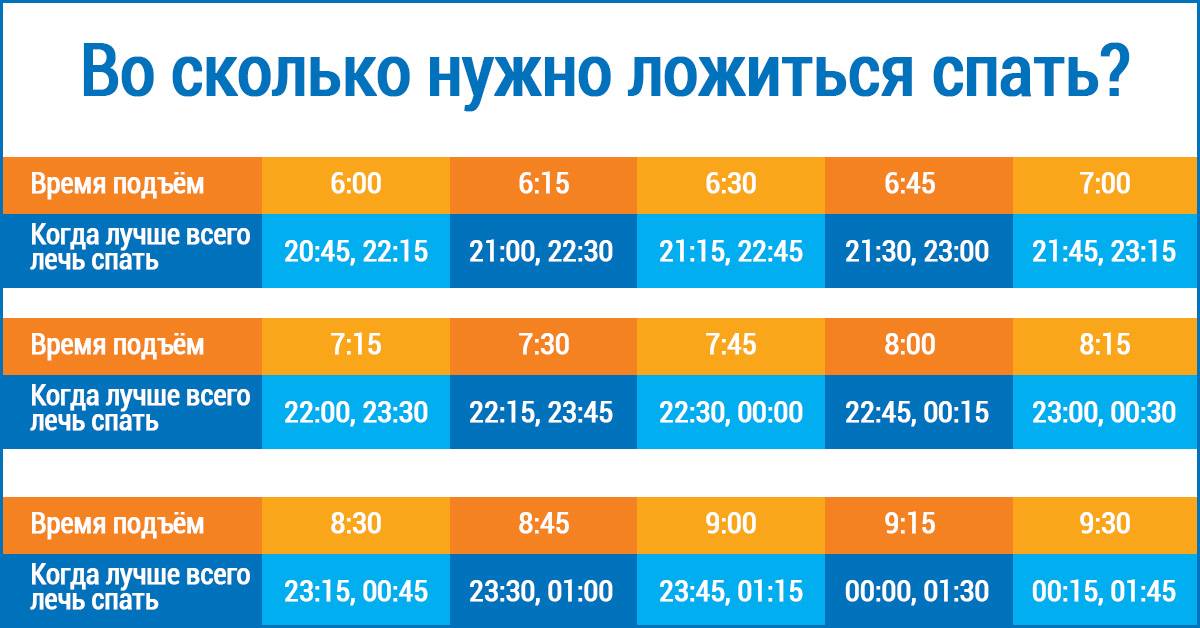 Как спят шиншиллы днем и ночью, что нужно знать о режиме сна