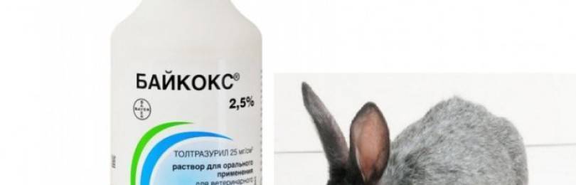 Байкокс: инструкция по применению для кроликов, цыплят, птиц, как использовать