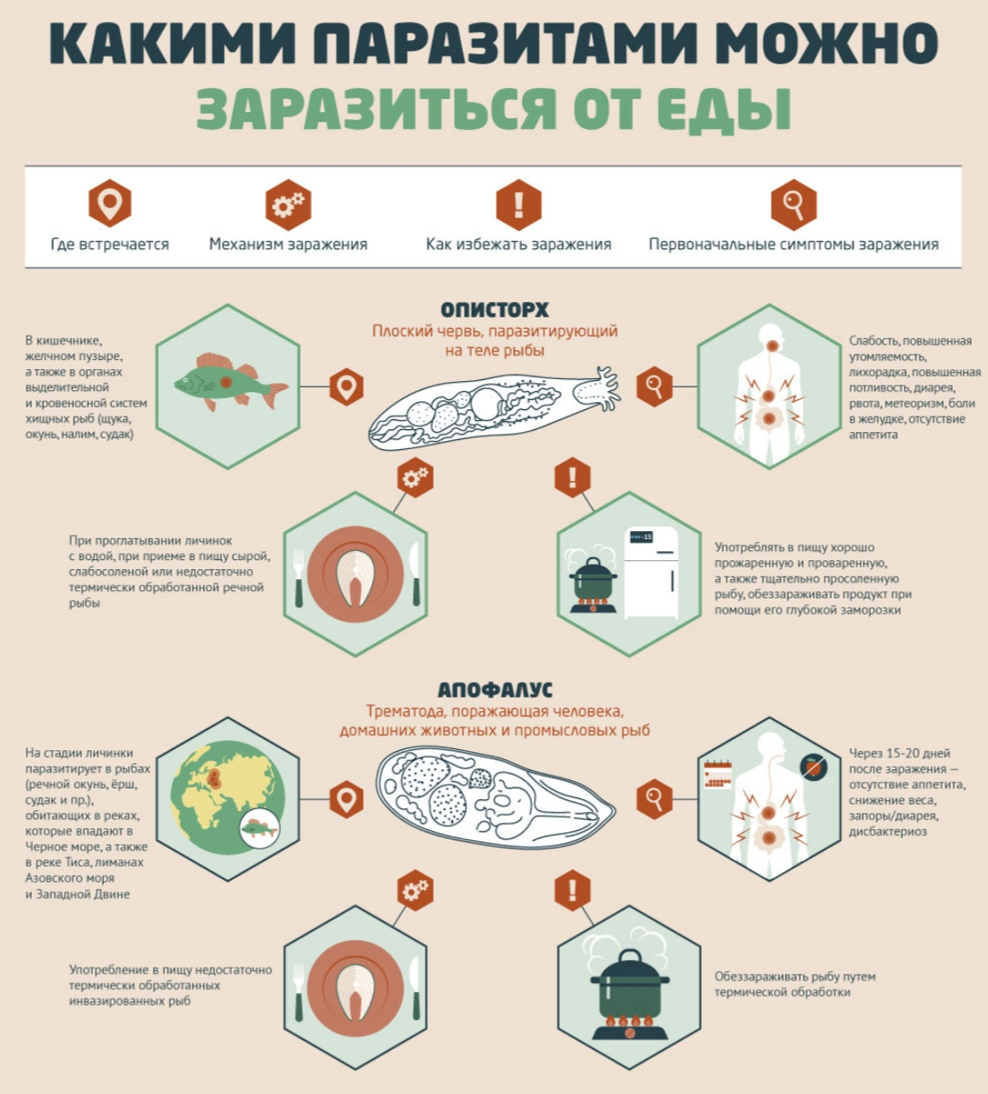 Энтеробиоз у детей