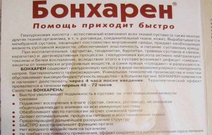Бонхарен для собак