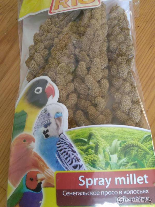 Безглютеновые продукты: список на заметку!