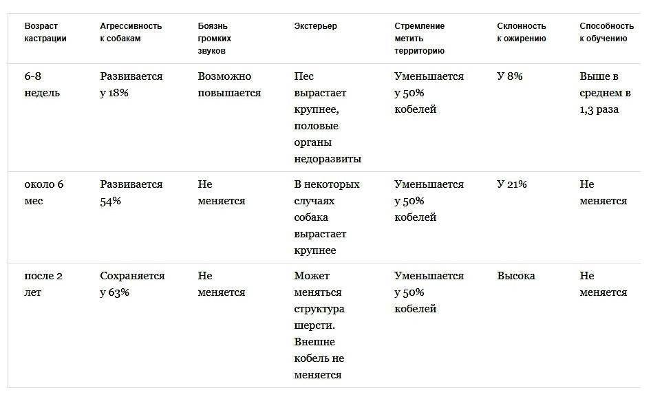 Беременность у собак - признаки, продолжительность беременности у собак. ветеринарная клиника "зоостатус"