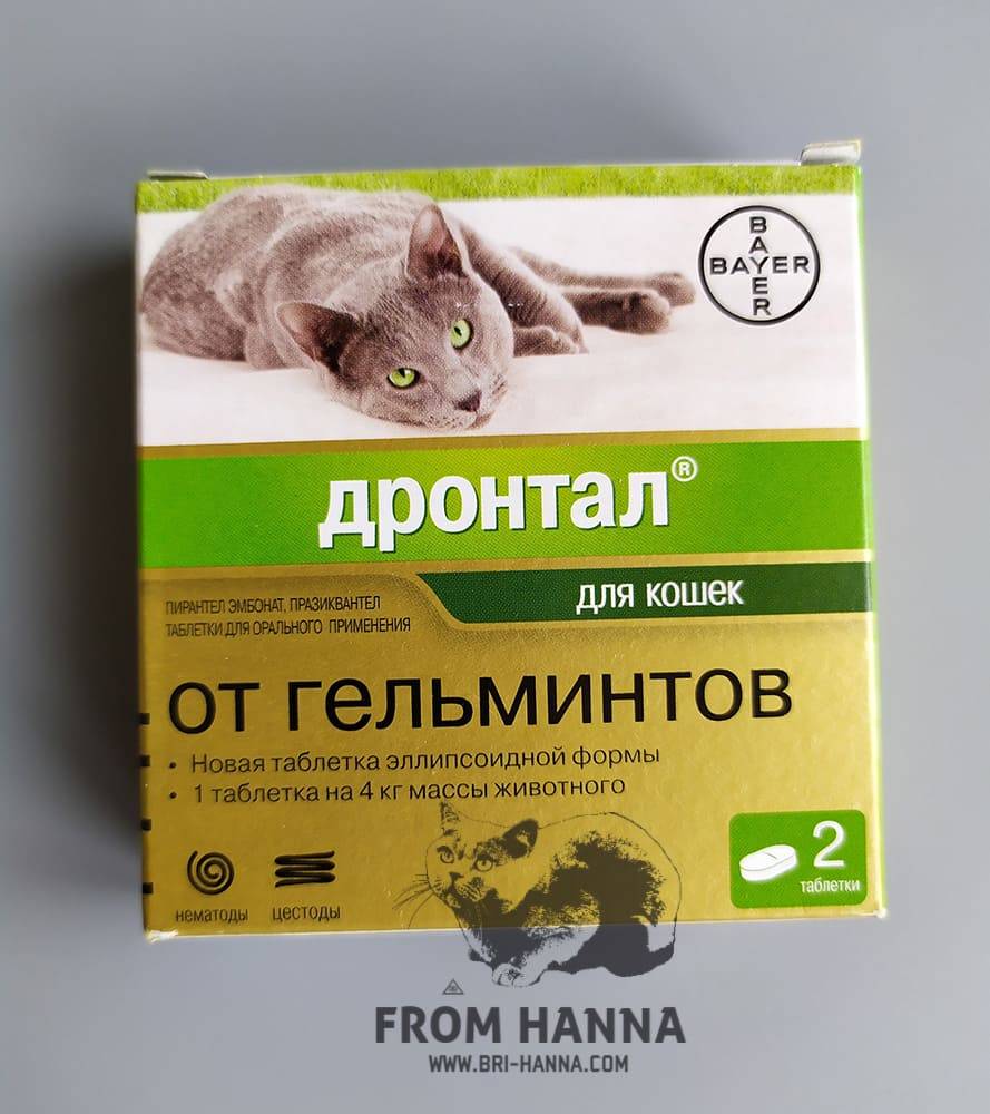«дронтал» для кошек: инструкция по применению препарата