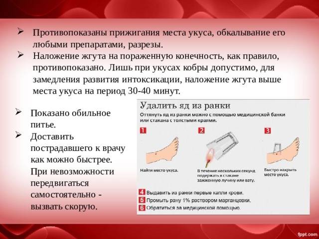Бешенство у детей