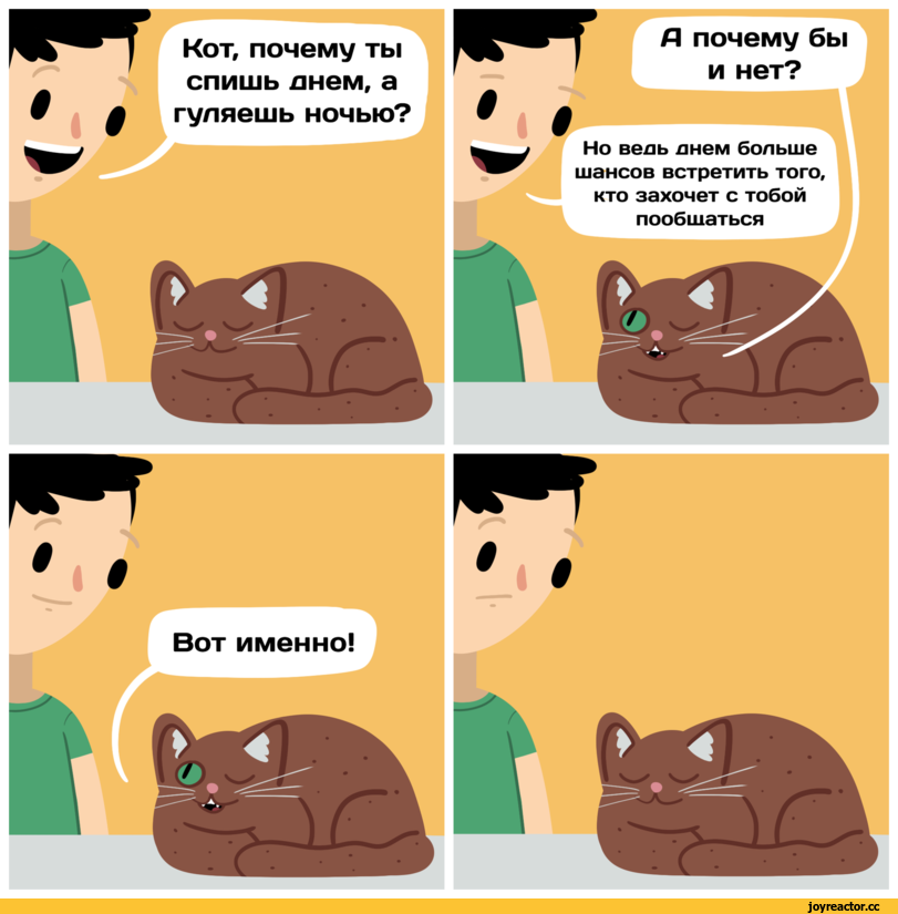 Зачем человеку кот. Зачем кот. Почему ты кот. Смешные короткие комиксы. Почему я кот.