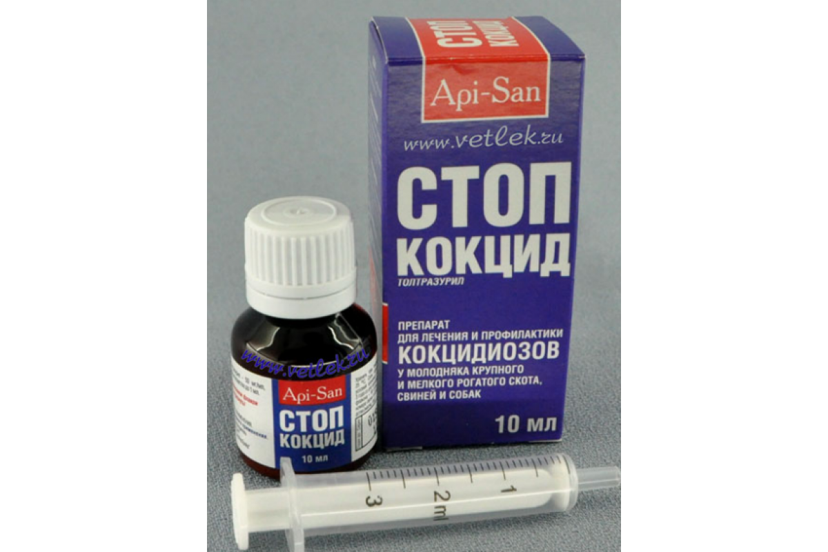 Стоп-кокцид для кошек: инструкция по применению, эффективность и особенности назначения