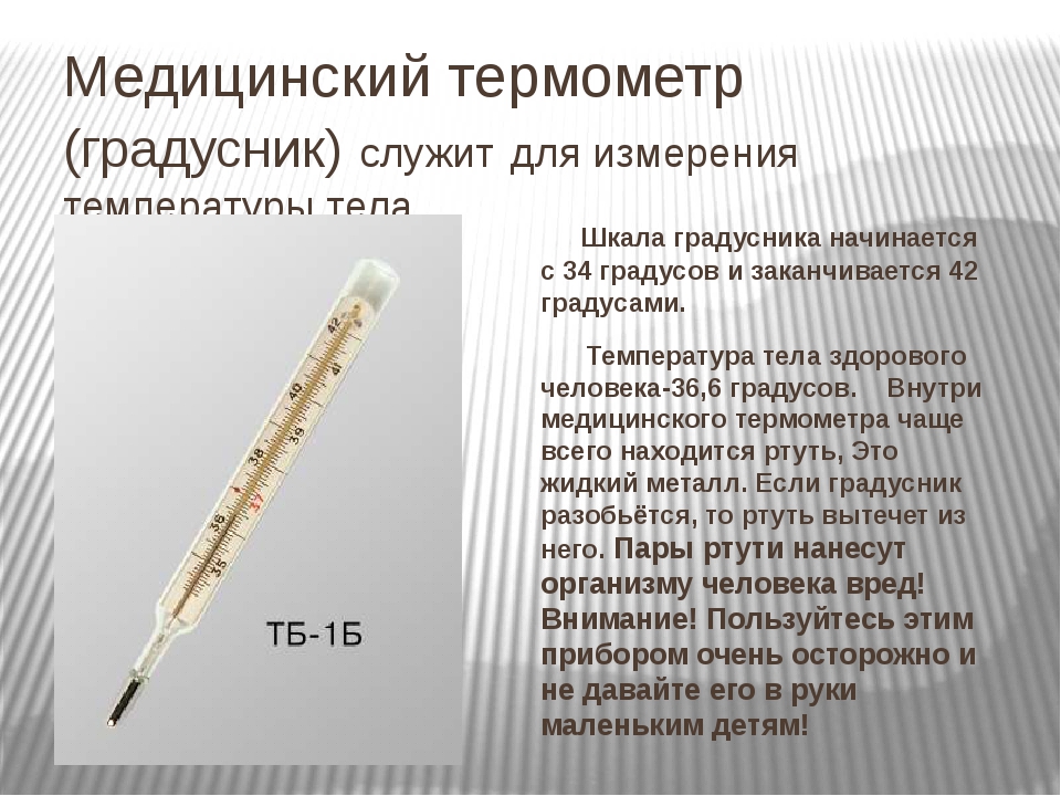 Как померить температуру у собаки?