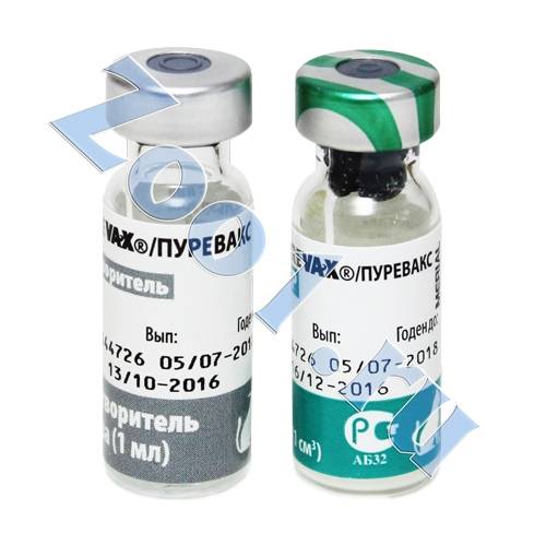 Вакцина для кошек “пуревакс”: инструкция по применению препарата, механизм действия прививки