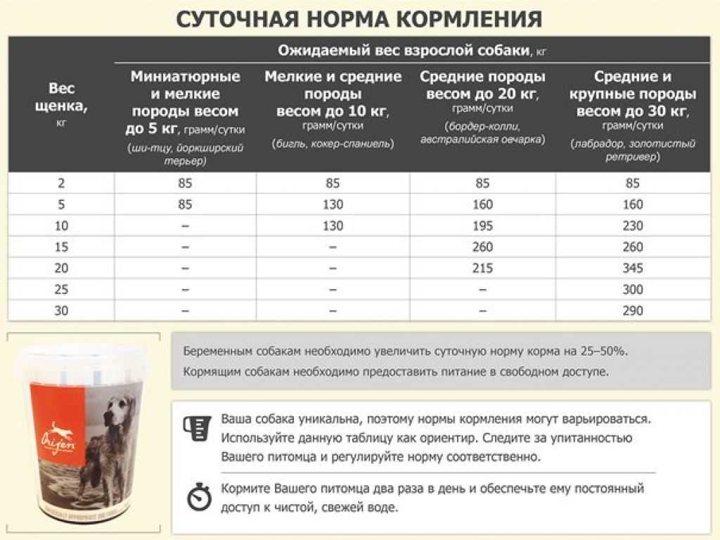 Как вкусно готовить натуралку для собаки?