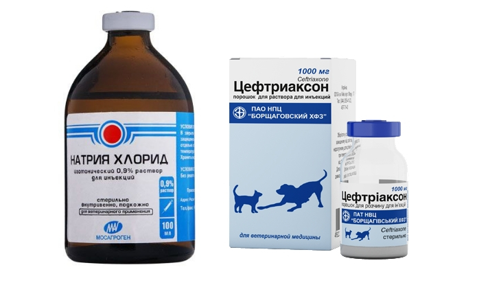 Цефтриаксон с лидокаином можно ли. Цефтриаксон уколы в ветеринарии. Внутривенно антибиотик цефтриаксон собаке. Антибиотик для внутримышечного введения цефтриаксона. Антибиотики для собак уколы.