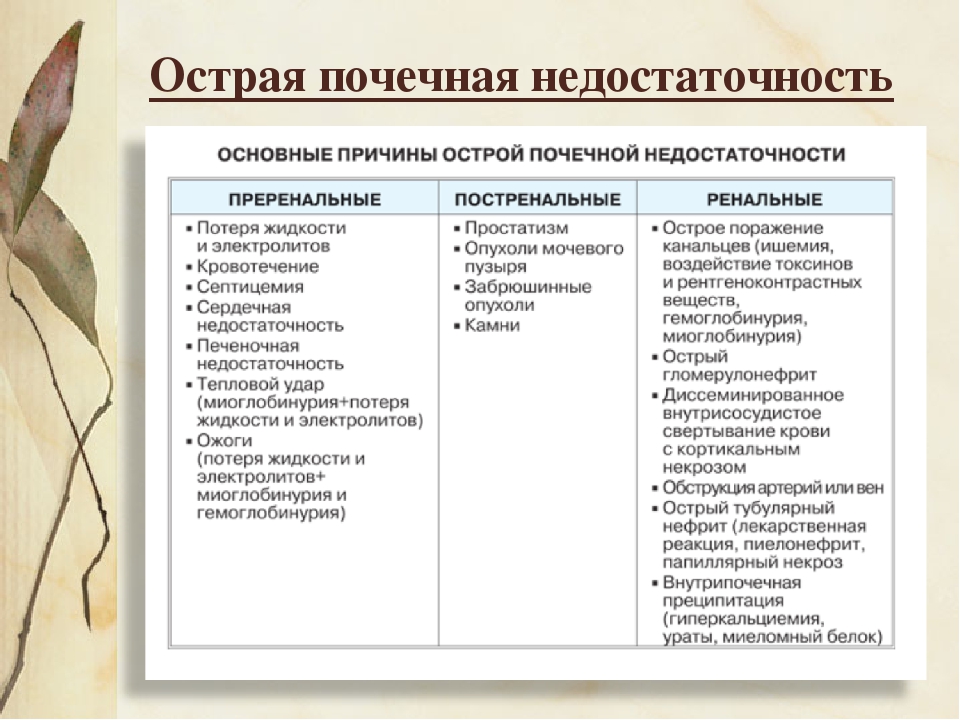 Почечная недостаточность