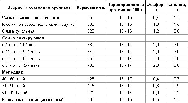 Как выкормить крольчат без крольчихи: искуственное кормление новорожденных кроликов