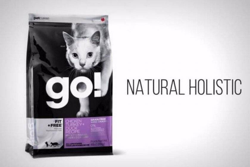 Качественный рацион для домашней кошки: корм «гоу» холистик класса