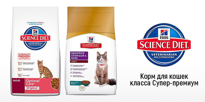 Какие корма для кошек рекомендуют ветеринары: бренды и торговые марки