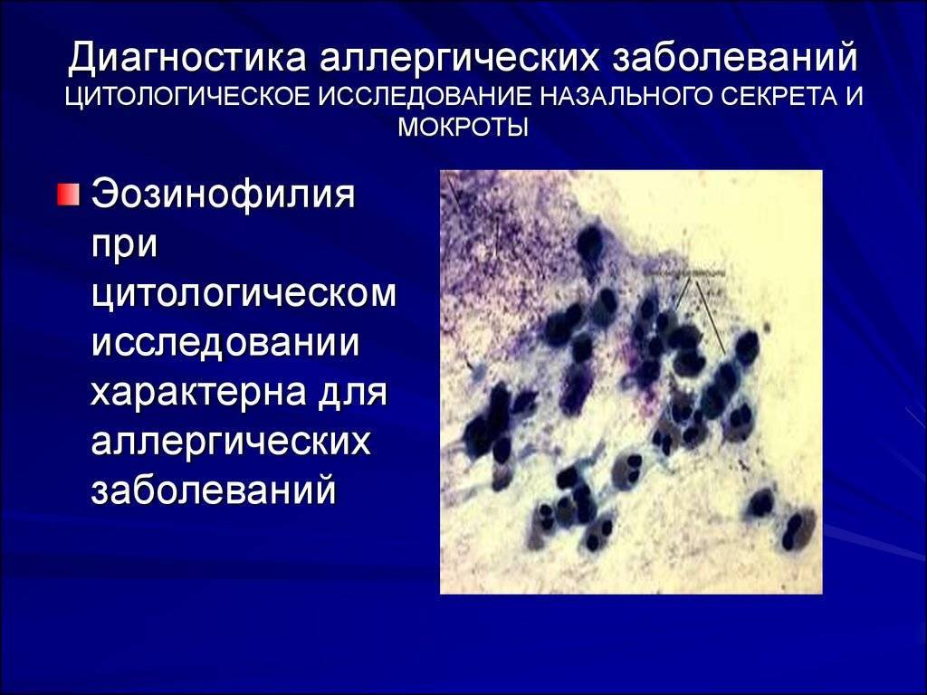 Цитология и гистология