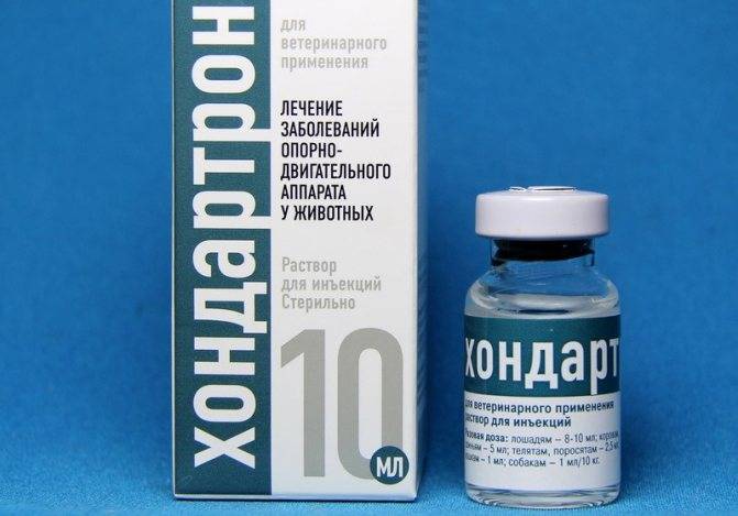 Еще раз о хондропротекторах: так работают они или нет? - noltrexsin