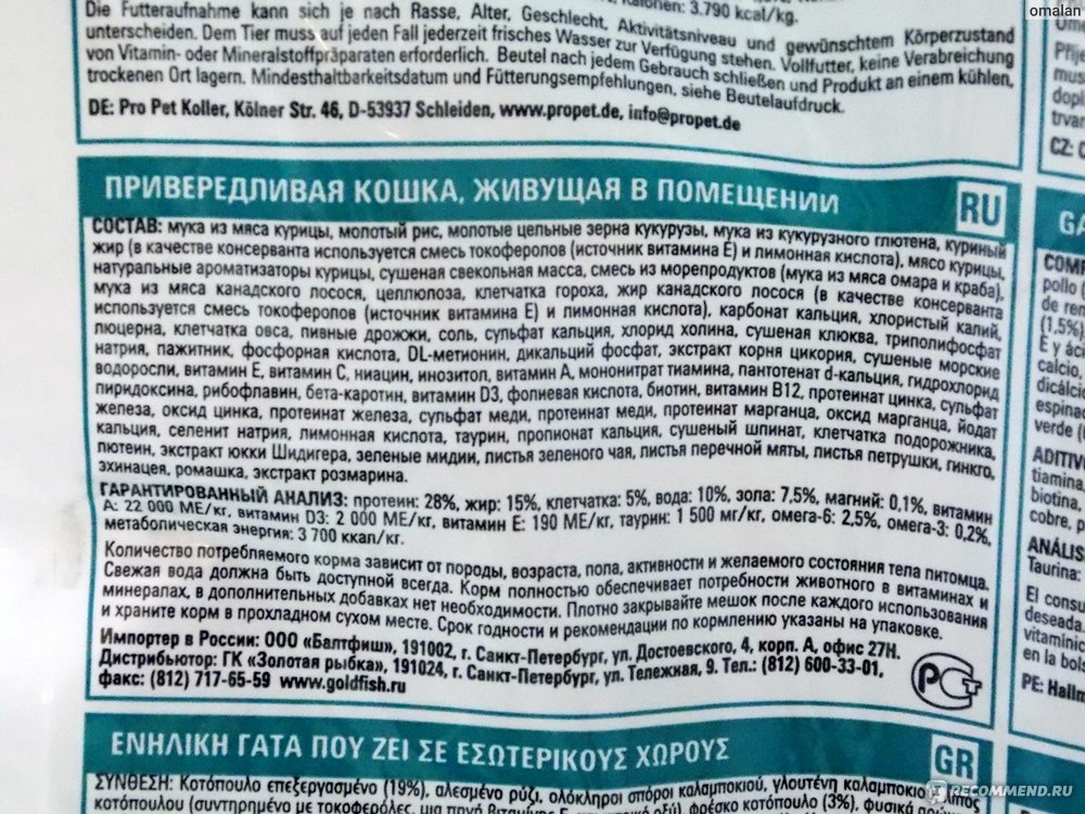 Новый полнорационный корм для собак nutro: знакомимся с новым брендом на российском рынке