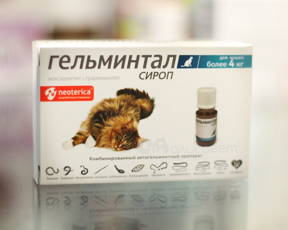 Схема глистогонки кошек