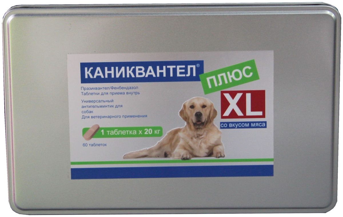 Каниквантел для кошек: инструкция по применению и профилактике