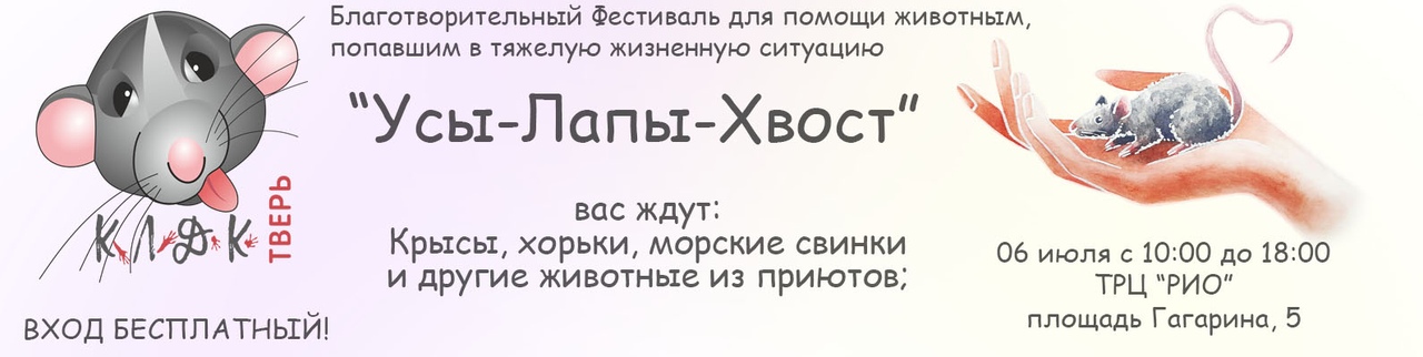 Размещение с животными с отелях и пансионатах анапы, сочи, туапсе, геленджика, крыма в 2021 г., путевки на отдых с животными на черное море 2021 г., отели принимающие на отдых с животными в россии на