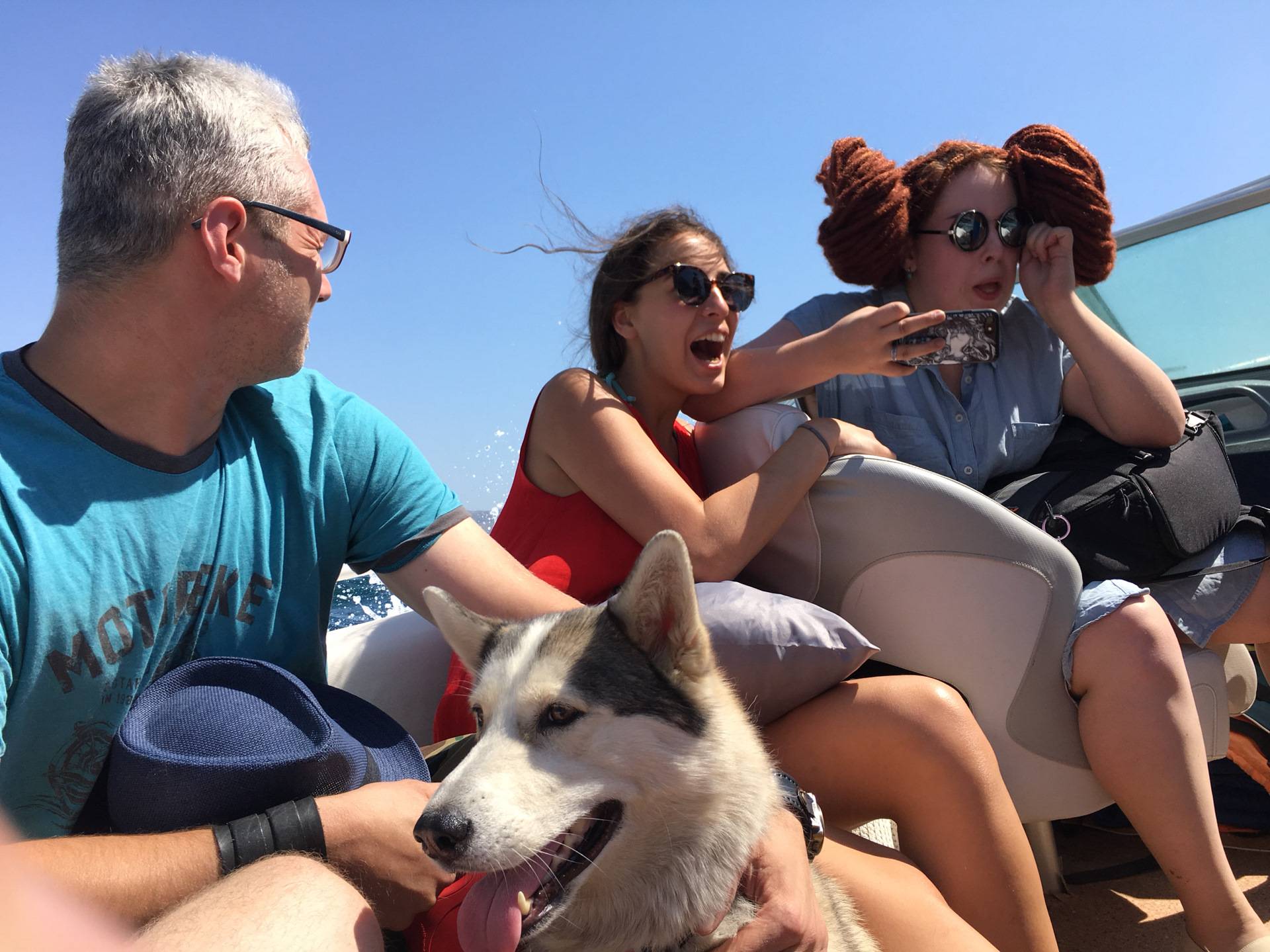 Собак где сейчас. Путешествие с собакой в Крым. Собака Лэнд. Крым собака. Собака на море на машине.