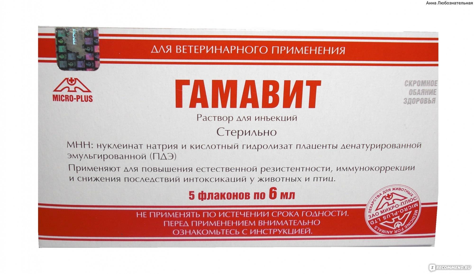Ветеринарный препарат гамавит: состав, принцип действия и инструкция по применению