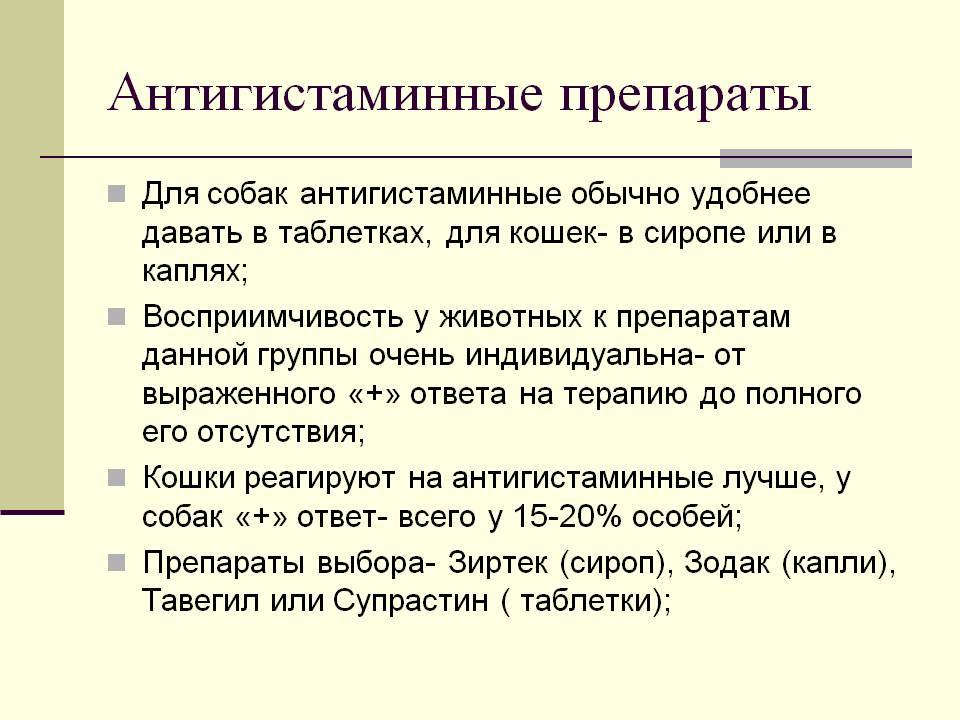 Антигистаминные препараты для кошек: список, как выбрать