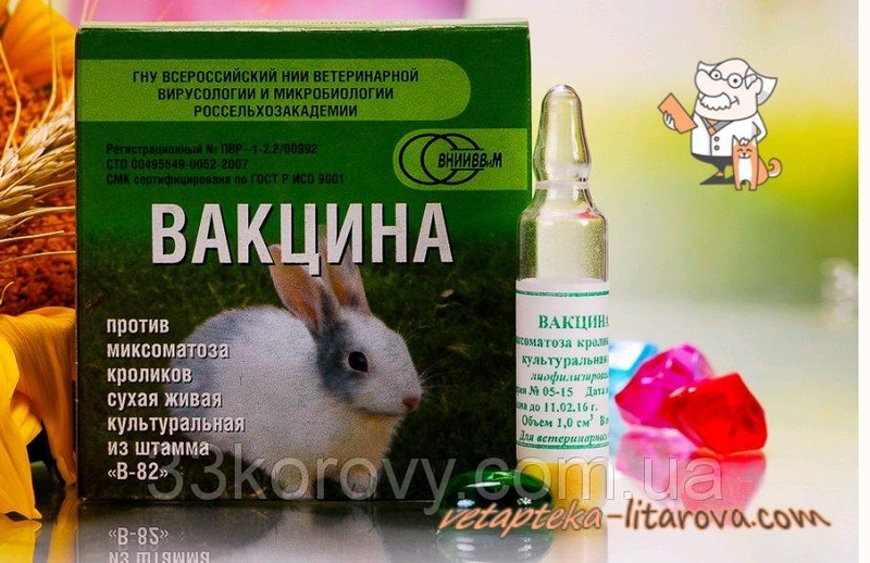 Вакцина от миксоматоза и вгбк. Миксоматоз у кроликов вакцина. Вакцина для кроликов против ВГБК И миксоматоза. Вакцина для кроликов от миксоматоза и ВГБК. Ассоциированная вакцина против миксоматоза и ВГБК.