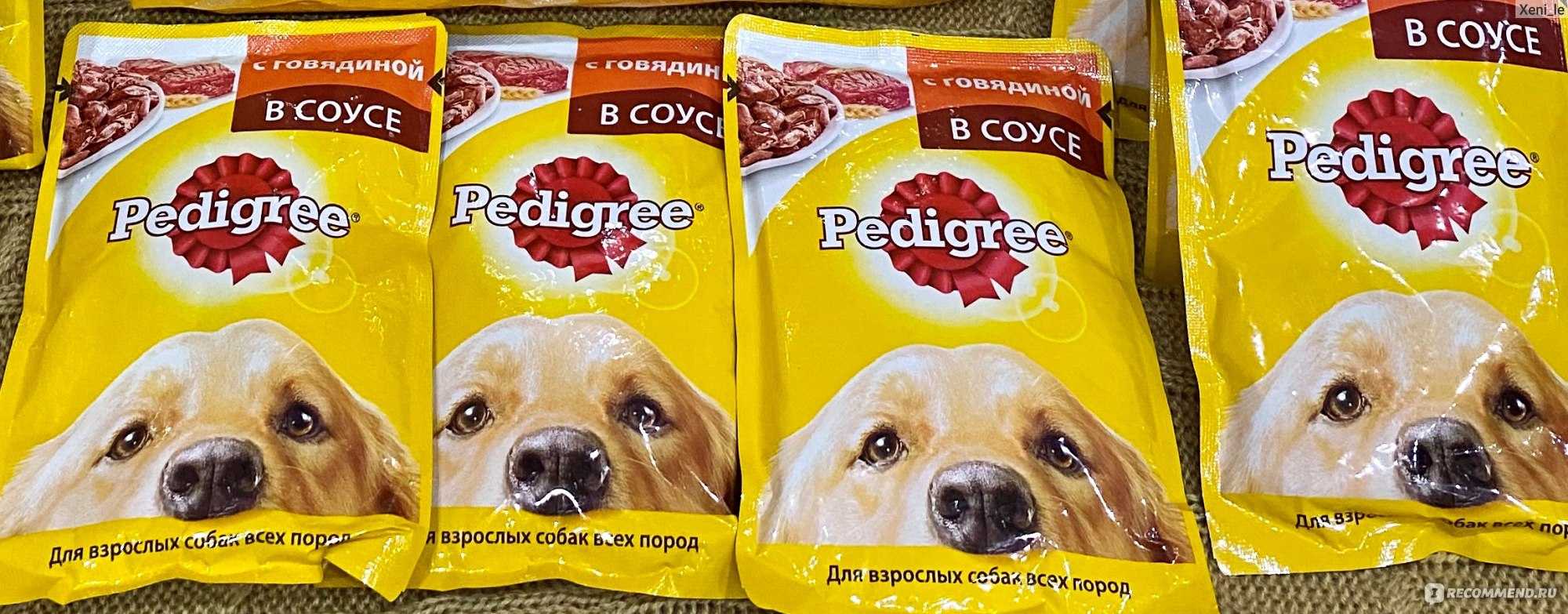Корм для собак pedigree – марка №1 в россии