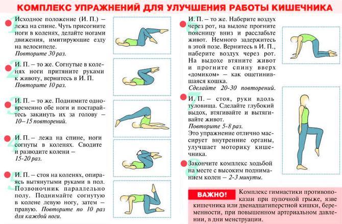 Вздутие живота у кроликов: причины, симптомы, лечение, что делать