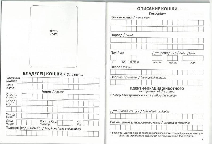 Образец ветеринарный паспорт на корову