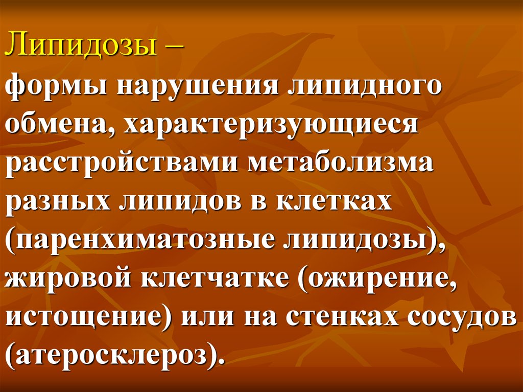 Причины липидоза печени у кошек: симптомы и лечение