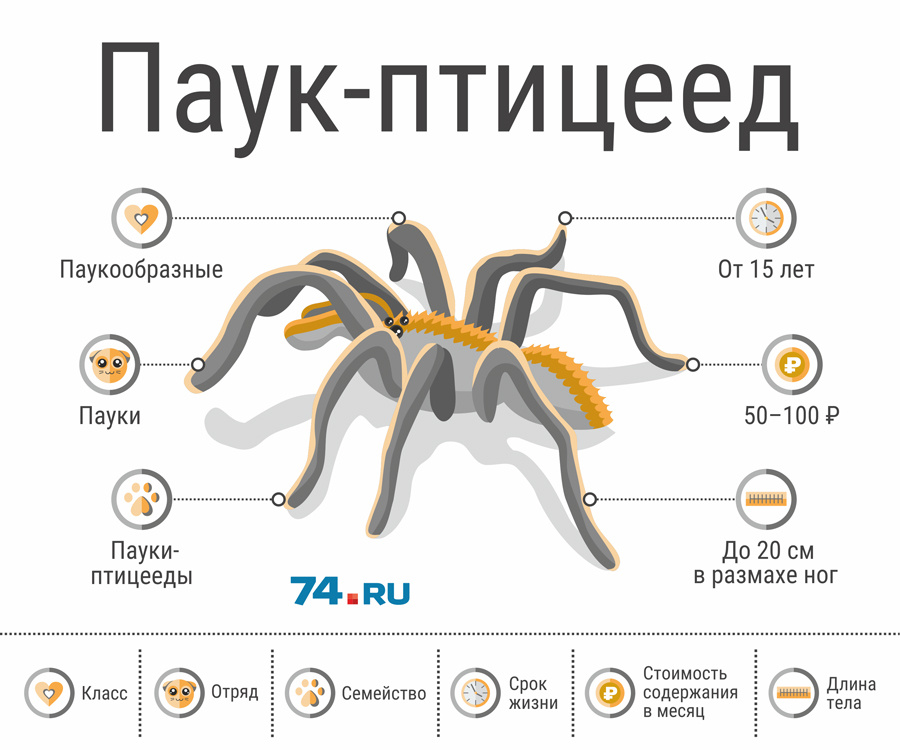 Заболевания печени