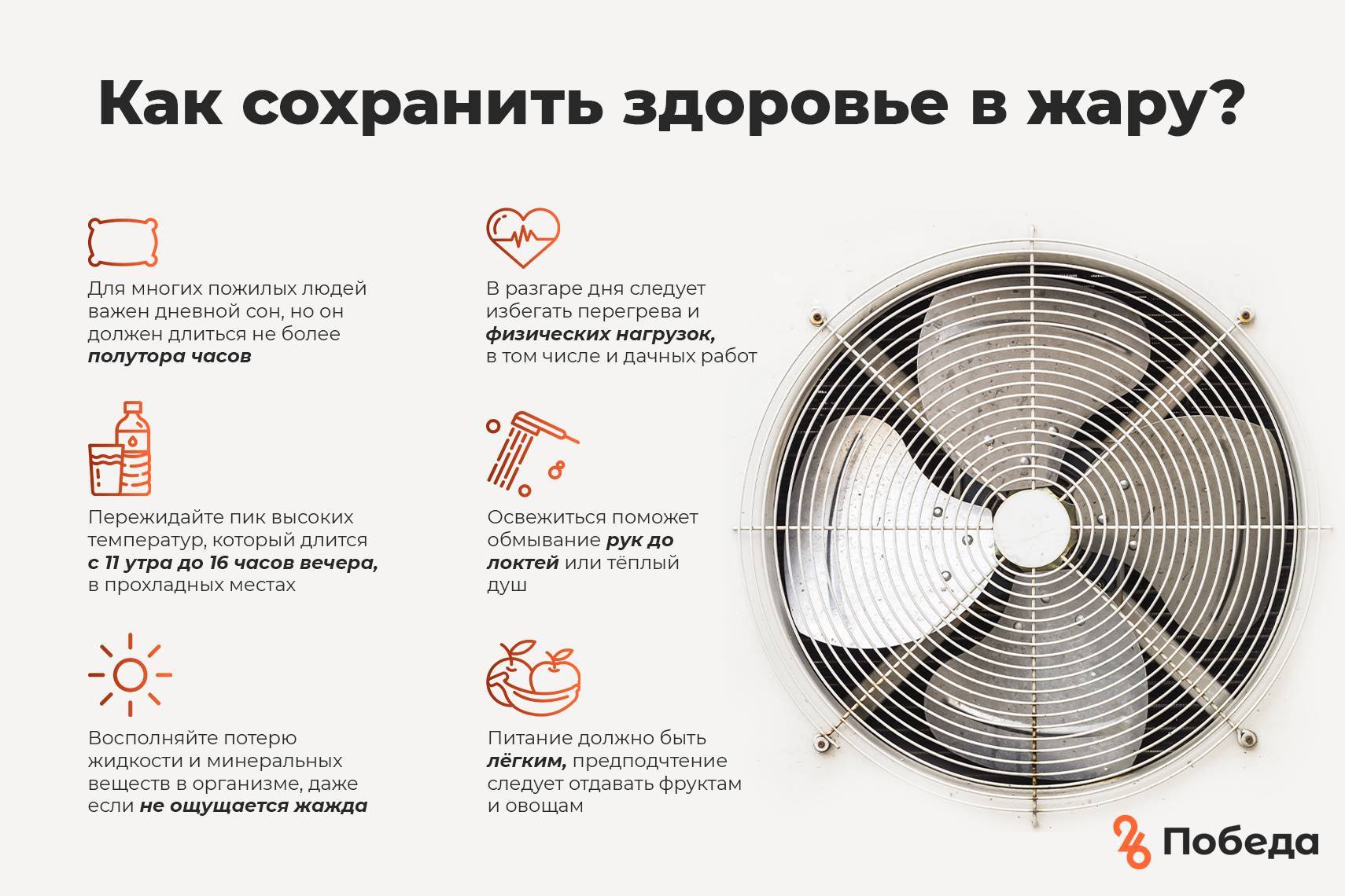 Как помочь собаке в жару: если животное в квартире, старой собаке перенести жару - блог о животных - zoo-pet.ru