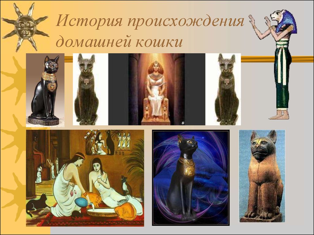Откуда и когда появились кошки, от кого произошли
откуда и когда появились кошки, от кого произошли