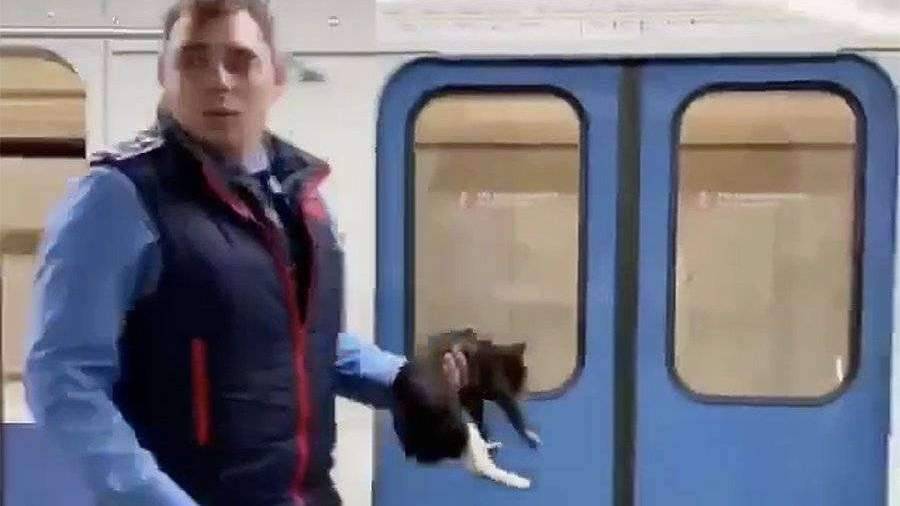 Какие животные в японии смогли помочь железной дороге эффективно бороться с кризисом